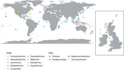 Satellite Remote Sensing in Shark and Ray Ecology, Conservation and Management